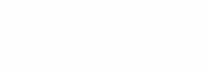David-Patterson-Logo-White
